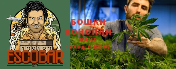 каннабис Богданович