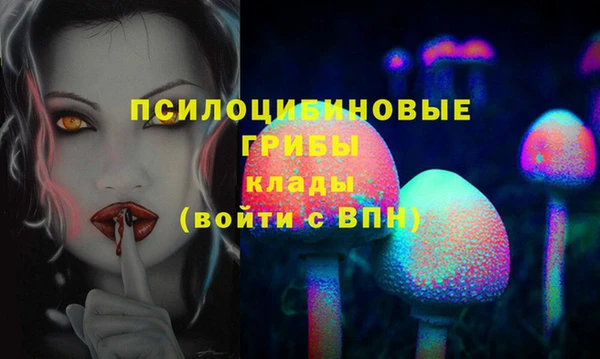 каннабис Богданович